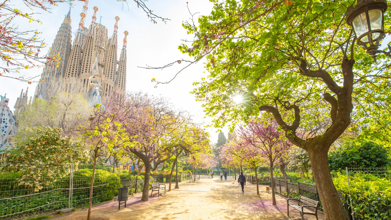 Park in Barcelona with view of Sagrada Familia